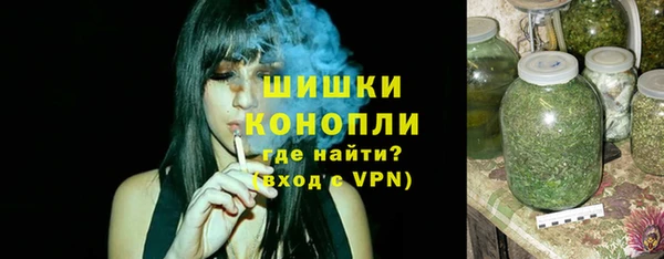 мдпв Михайлов