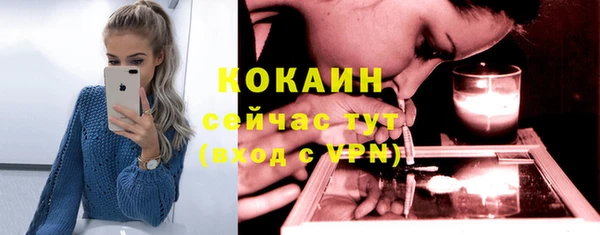 мдпв Михайлов