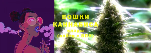 мдпв Михайлов
