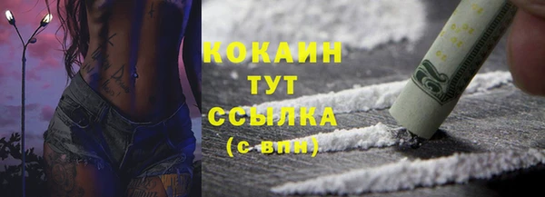мдпв Михайлов