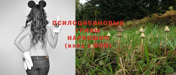 мдпв Михайлов