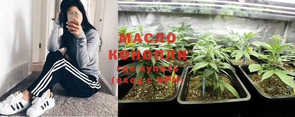 мдпв Михайлов