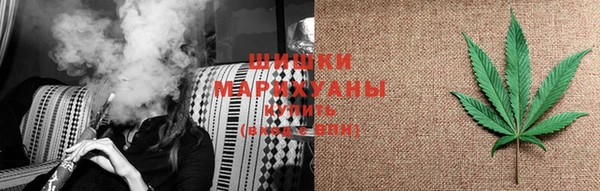 мдпв Михайлов