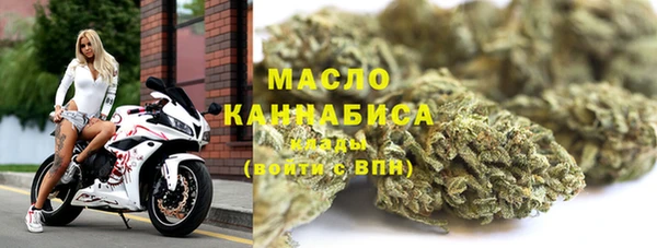 мдпв Михайлов