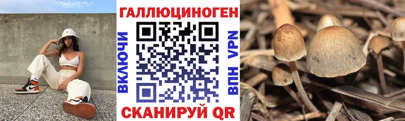 Галлюциногенные грибы GOLDEN TEACHER Далматово