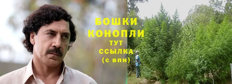 Канабис SATIVA & INDICA  Далматово 